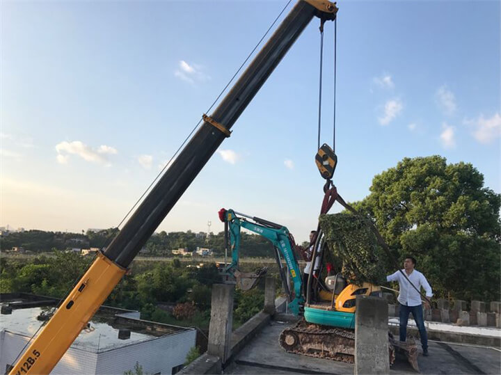 常熟沙家浜风景区绿化作业