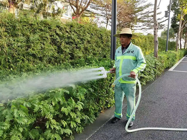 我们是一家园林绿化公司